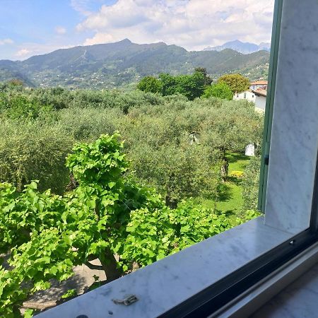 La Madonnina Bed and Breakfast Querceta Exteriör bild