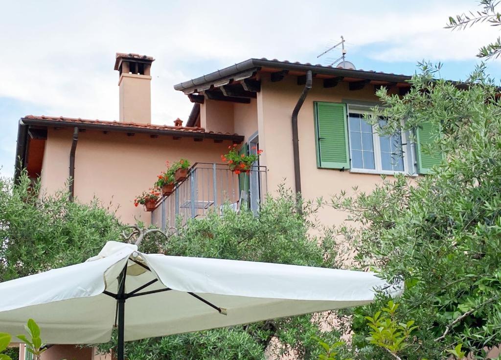 La Madonnina Bed and Breakfast Querceta Exteriör bild