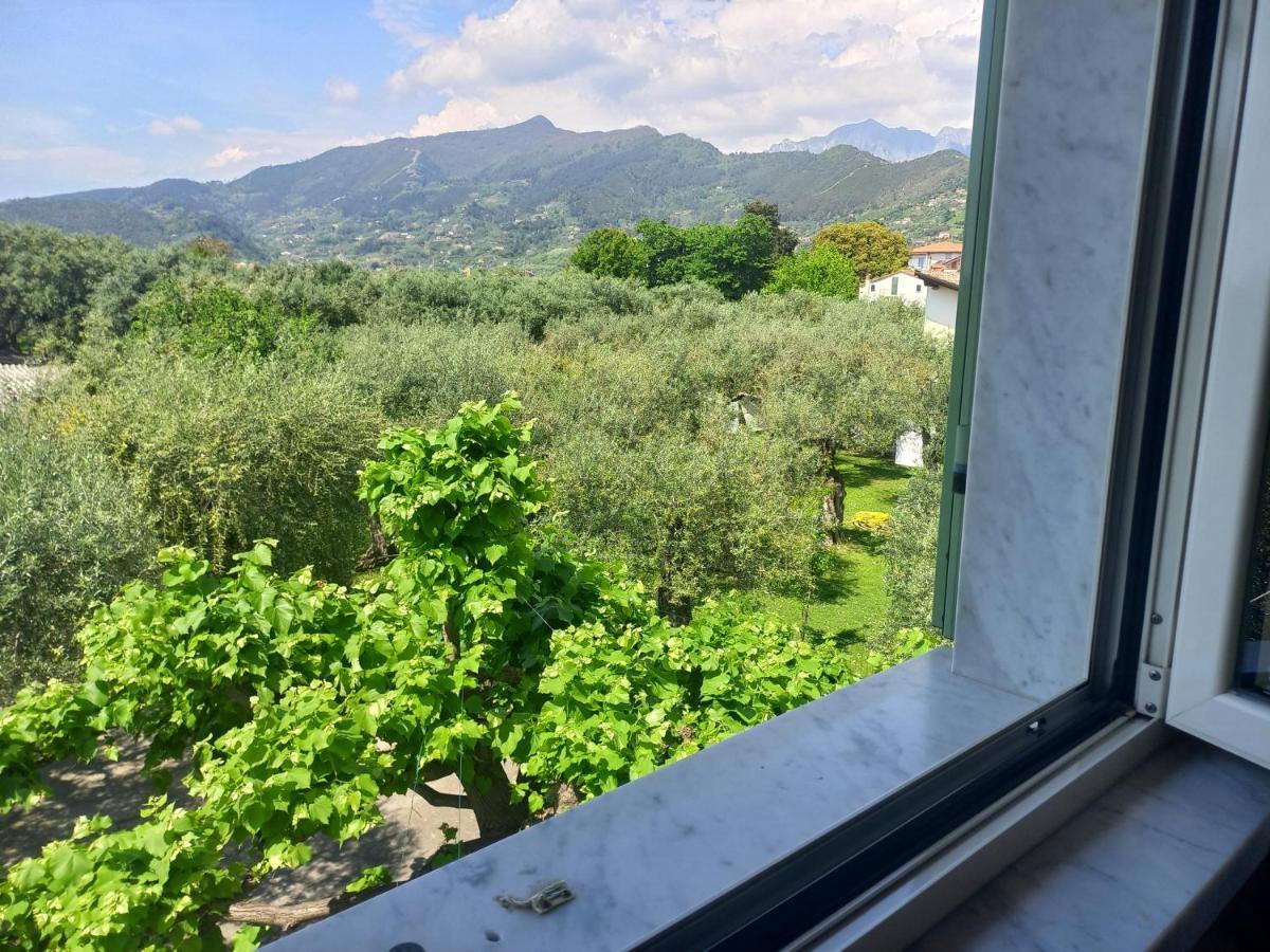 La Madonnina Bed and Breakfast Querceta Exteriör bild