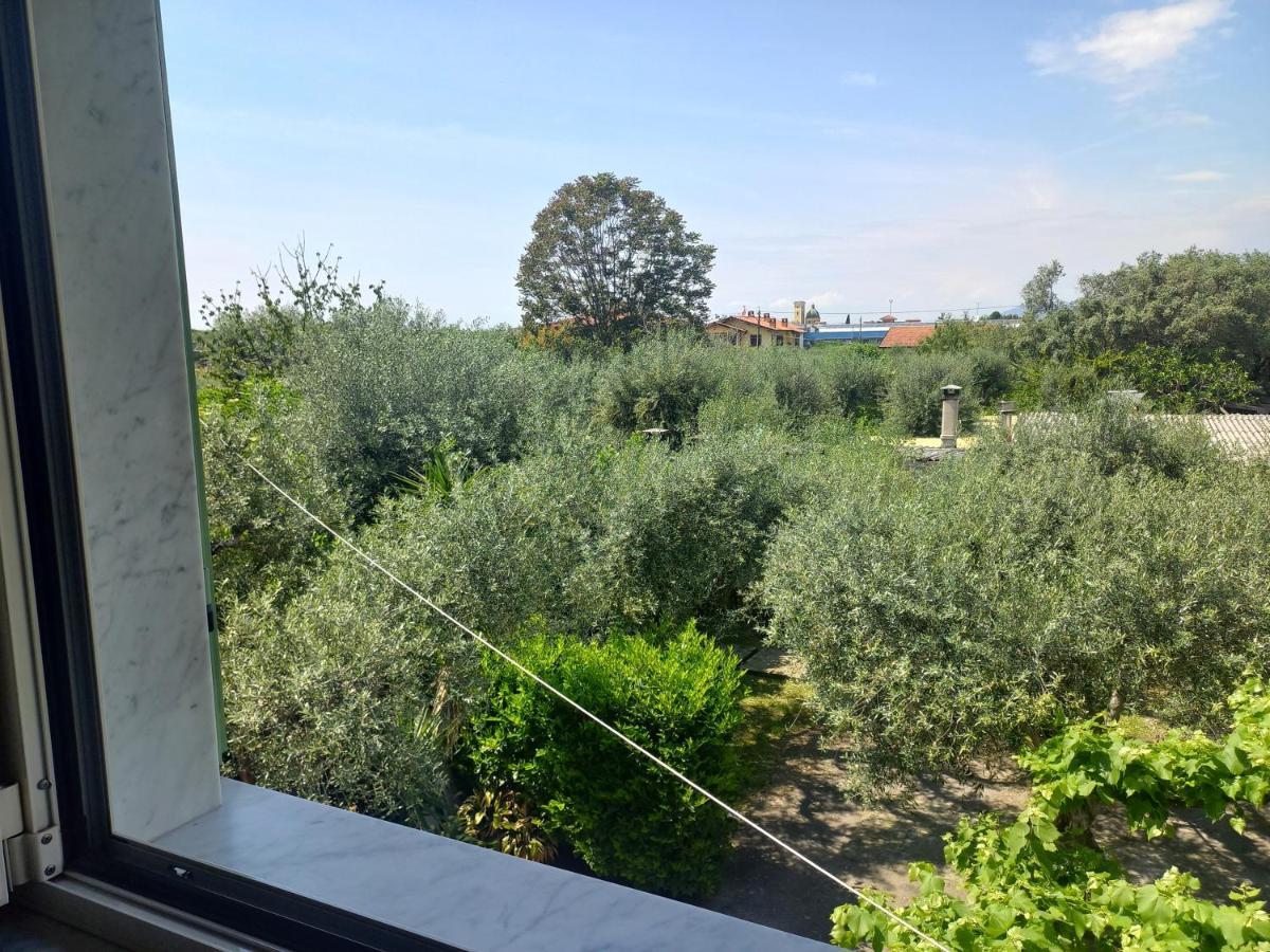 La Madonnina Bed and Breakfast Querceta Exteriör bild